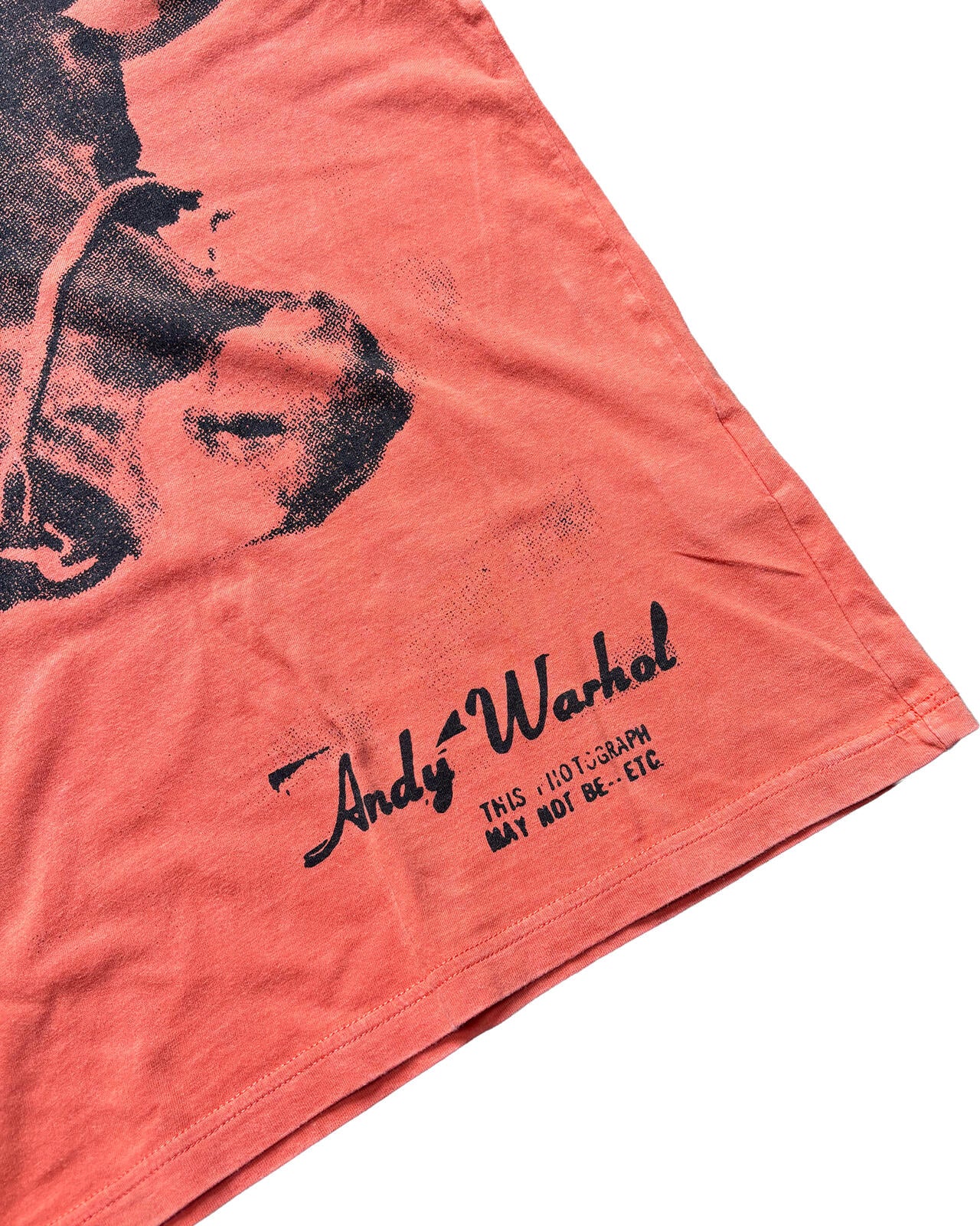 Hysteric Glamour x Andy Warhol Cow Tee S